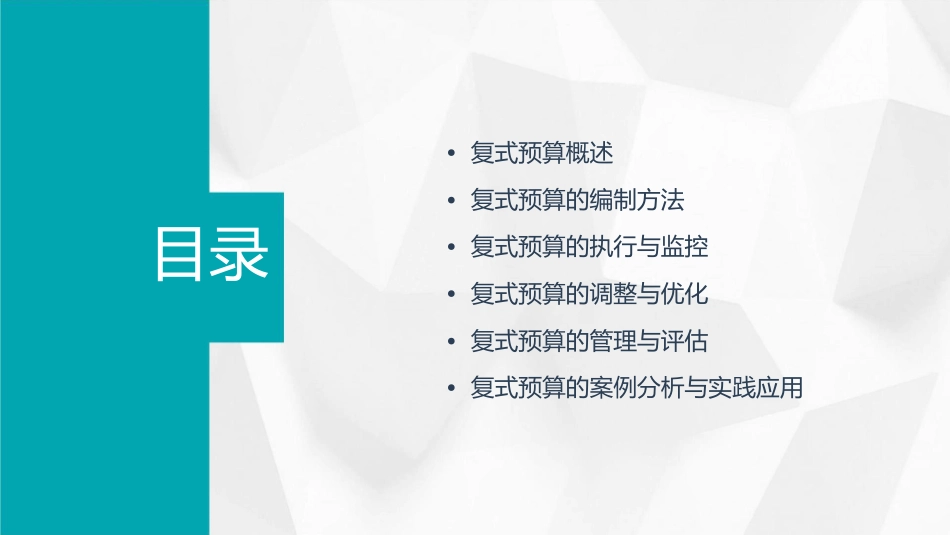 复式预算的编制与管理课件_第2页