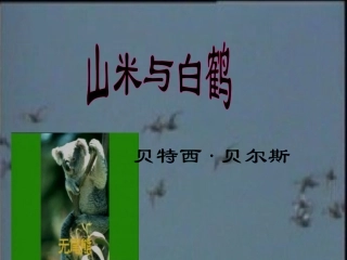 《山米与白鹤》课件2（10张PPT）（语文版八年级上）