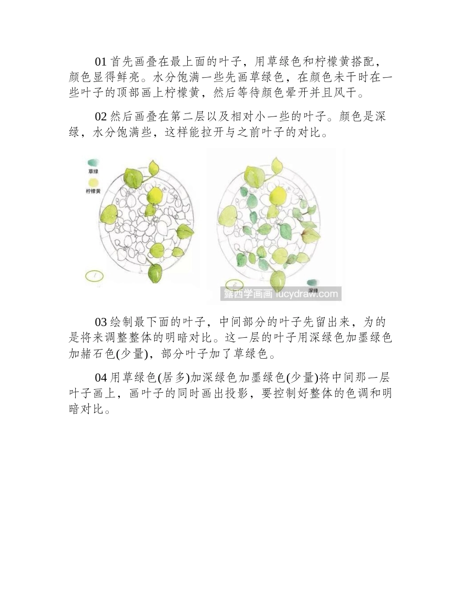 绿叶小植物水彩画教程水彩画教程_第2页