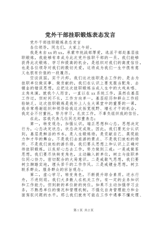 党外干部挂职锻炼表态发言
