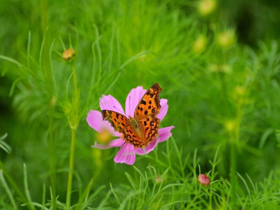 再塑生命 (2)_第3页