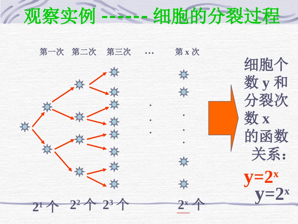 指数函数课件_第2页
