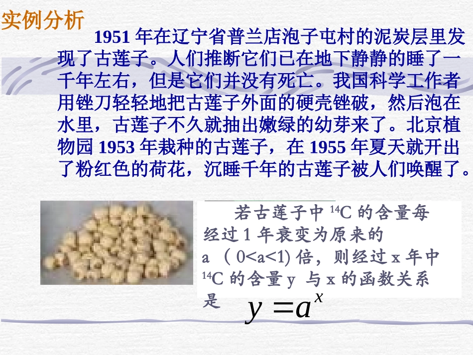 指数函数课件_第3页