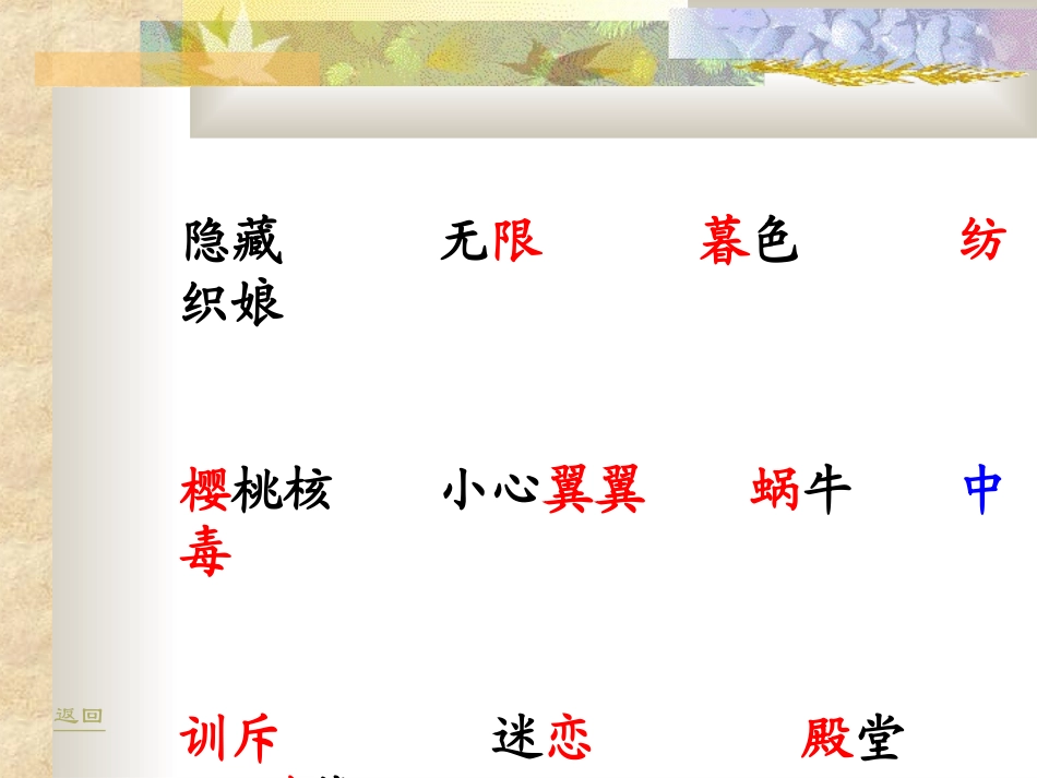 北师大第五册24《装满昆虫的口袋》_第3页