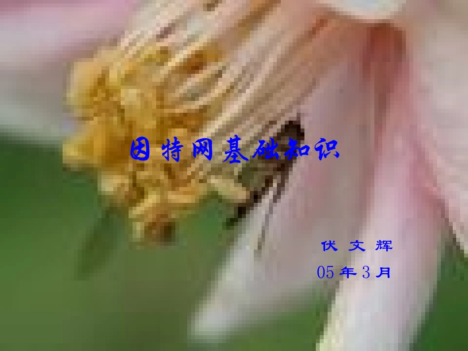 因特网基础知识_第1页