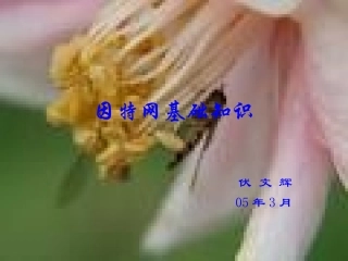 因特网基础知识