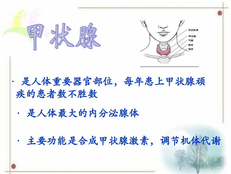 甲状腺教学查房[1][1]_第2页