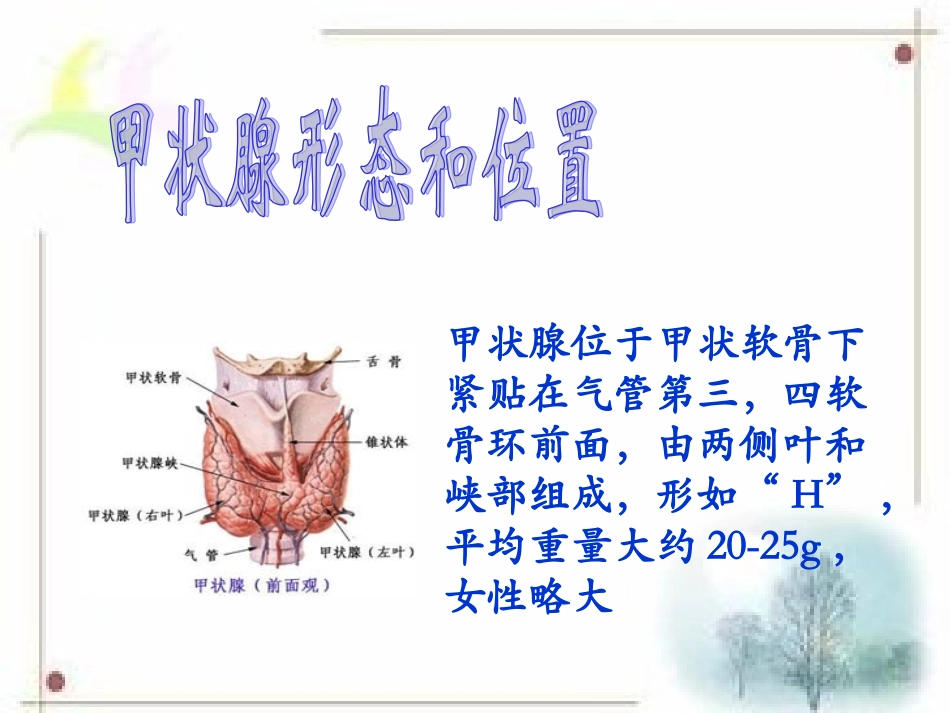 甲状腺教学查房[1][1]_第3页