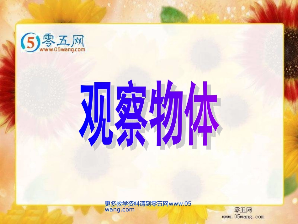 观察物体 (4)_第1页
