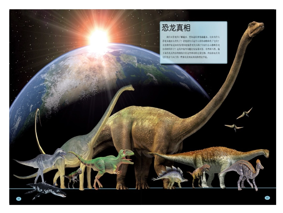 指数与指数幂的运算_第2页