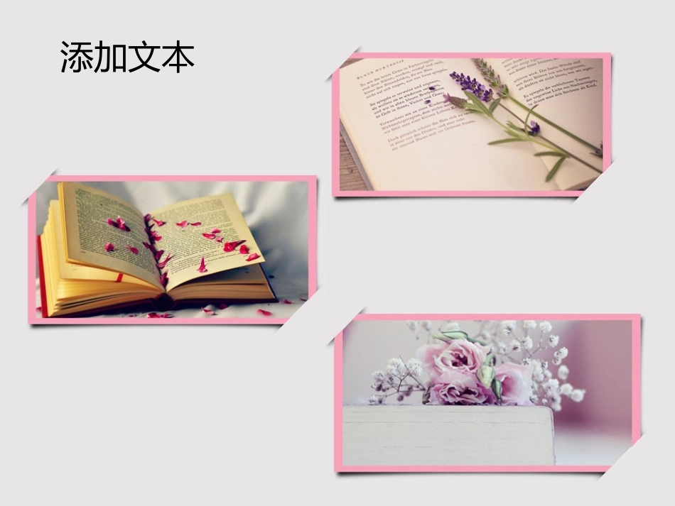 粉色清爽简约PPT演示模板_第3页
