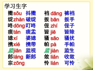 《人物描写一组》教学课件
