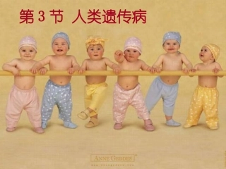 人类遗传病.ppt