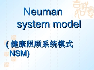 健康照顾系统模式NSM