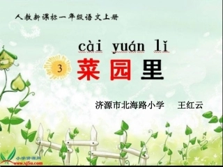 菜园里(终极精美版)