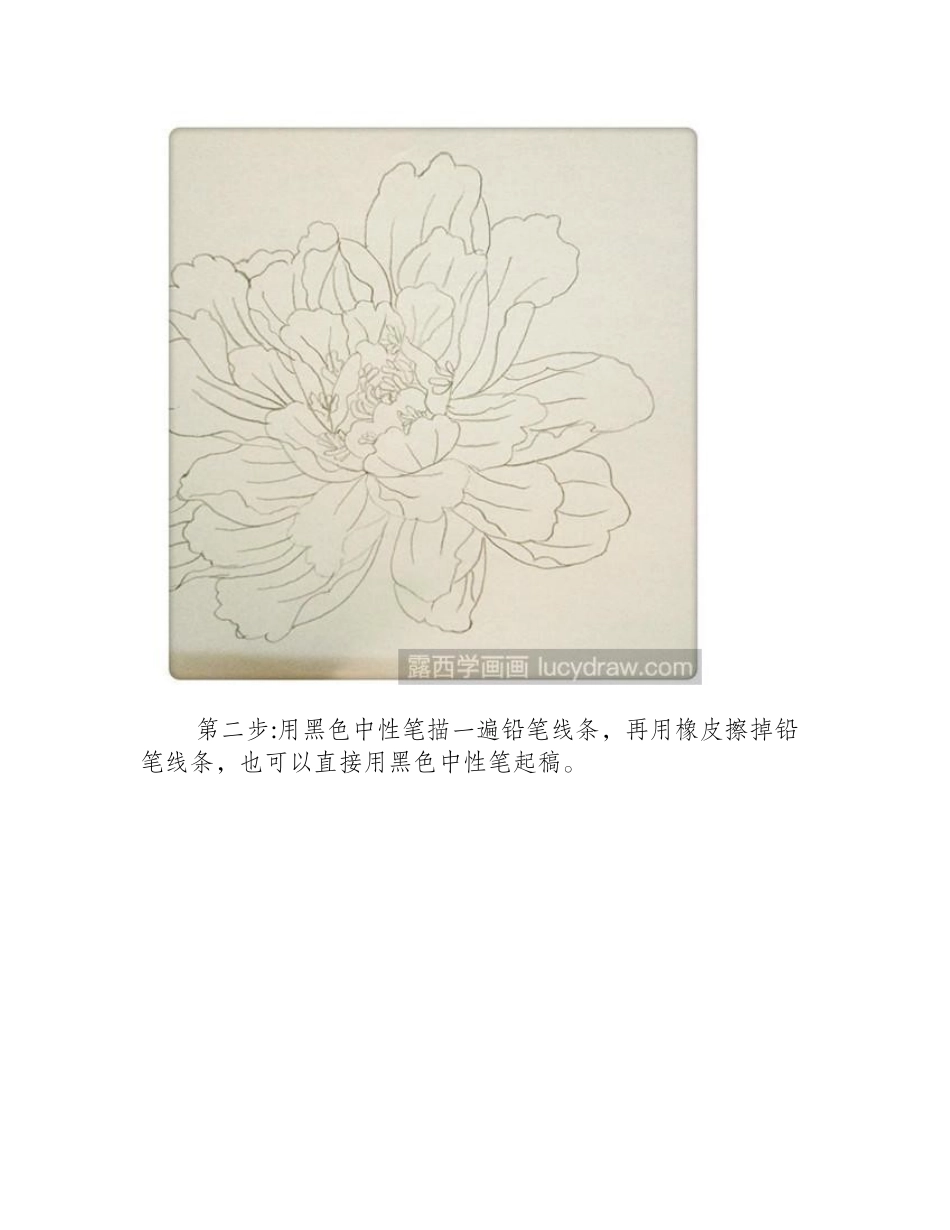 牡丹插画教程插画教程_第2页