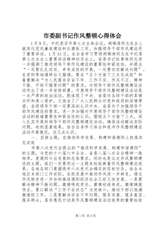 市委副书记作风整顿心得体会 