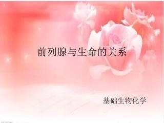 前列腺与生命的关系