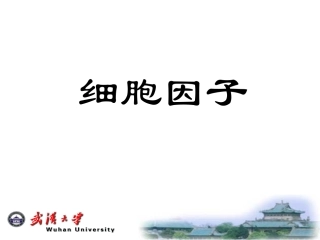 单核巨噬细胞产生如IL-6