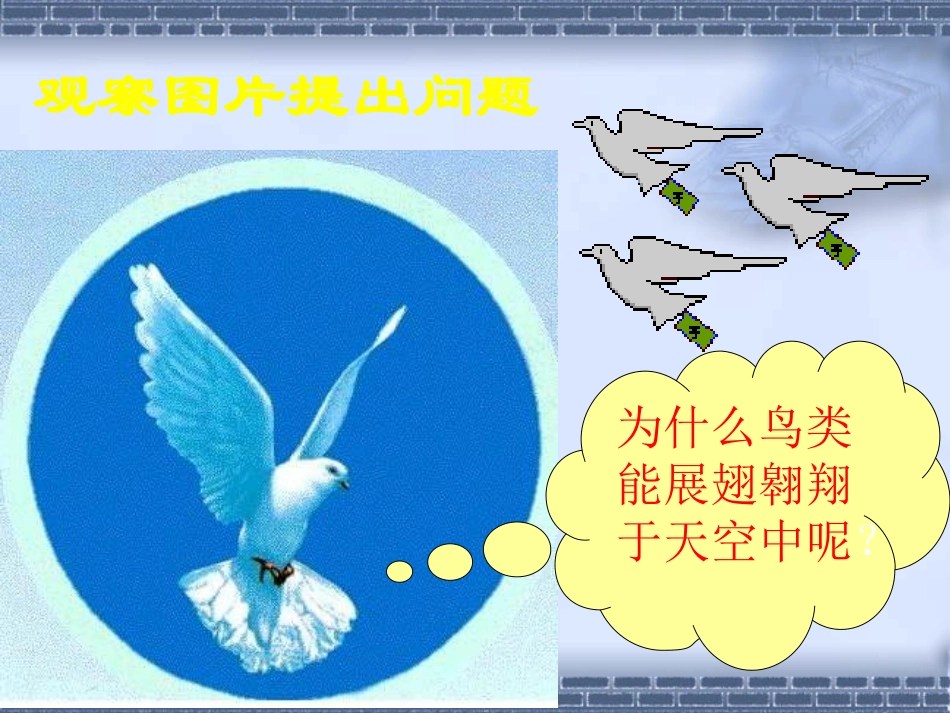 生物：111《鸟类》课件(苏科版七年级下)_第2页