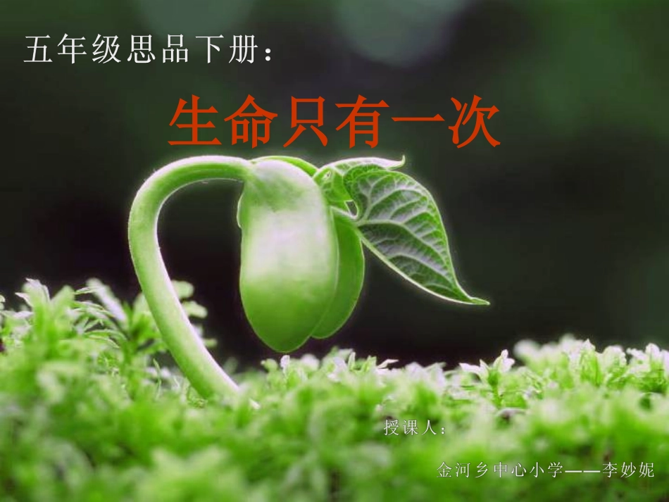 生命只有一次_第1页