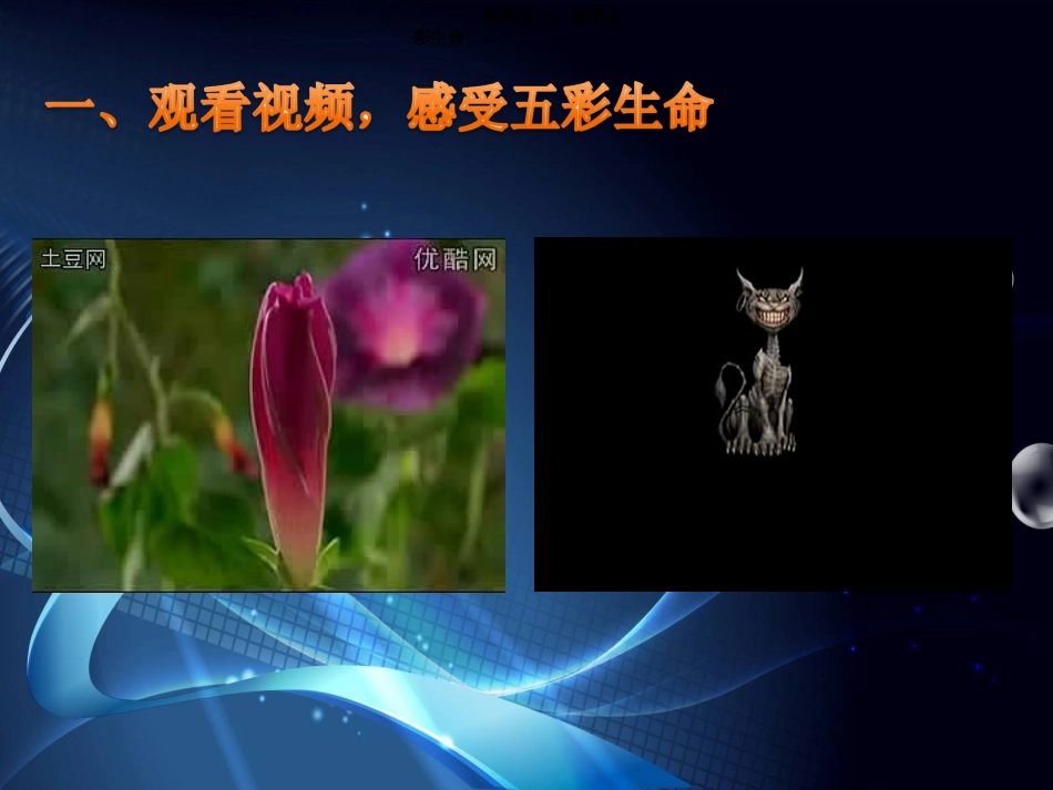 生命只有一次_第3页