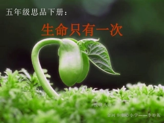 生命只有一次