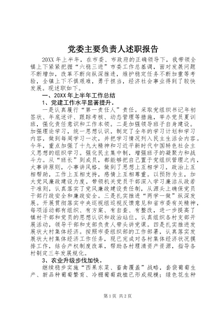 党委主要负责人述职报告