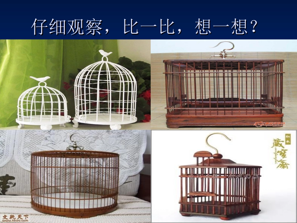 鸟笼（粘贴、涂色） (2)_第3页