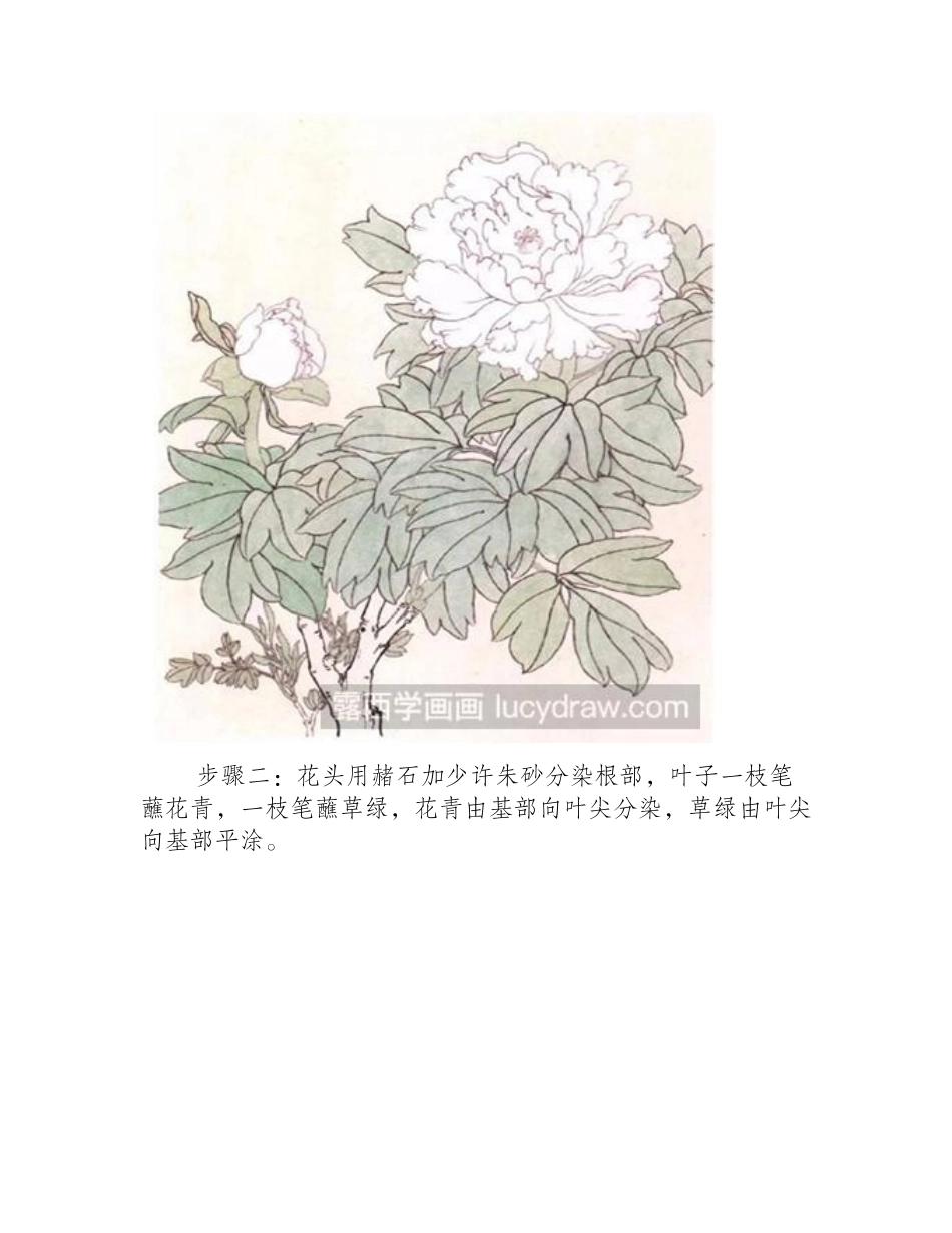 牡丹工笔画教程工笔画教程_第2页