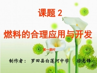 课题2《燃料的合理利用与开发》1