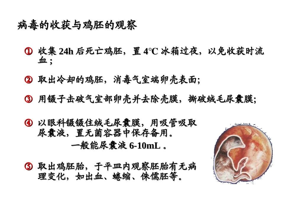 试验七-血凝试验1详解_第2页