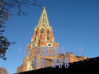 五年级自己的花是让别人看的课件