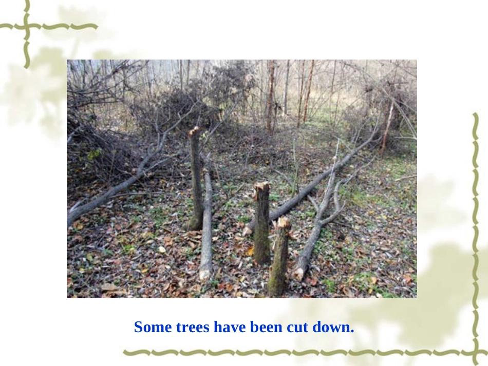 完整生动的英语被动语态课件[1]_第2页