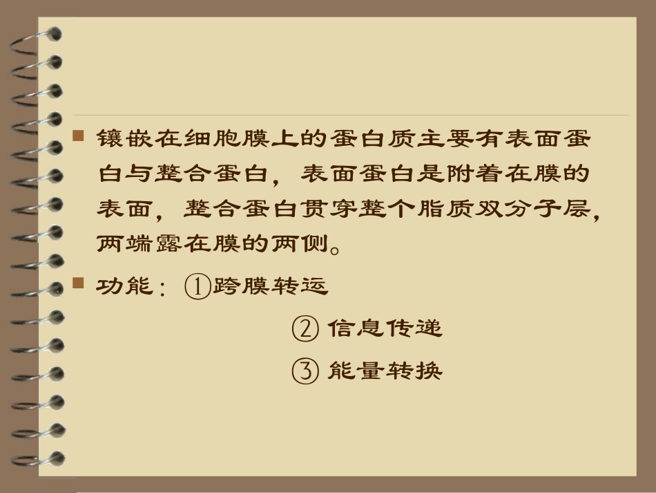 生理第二篇-细胞的基本功能_第3页
