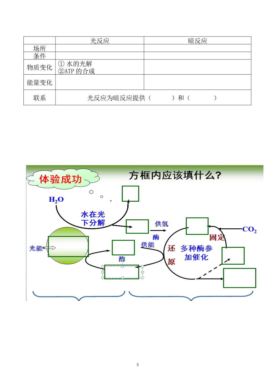 光合与呼吸知识点填空_第3页