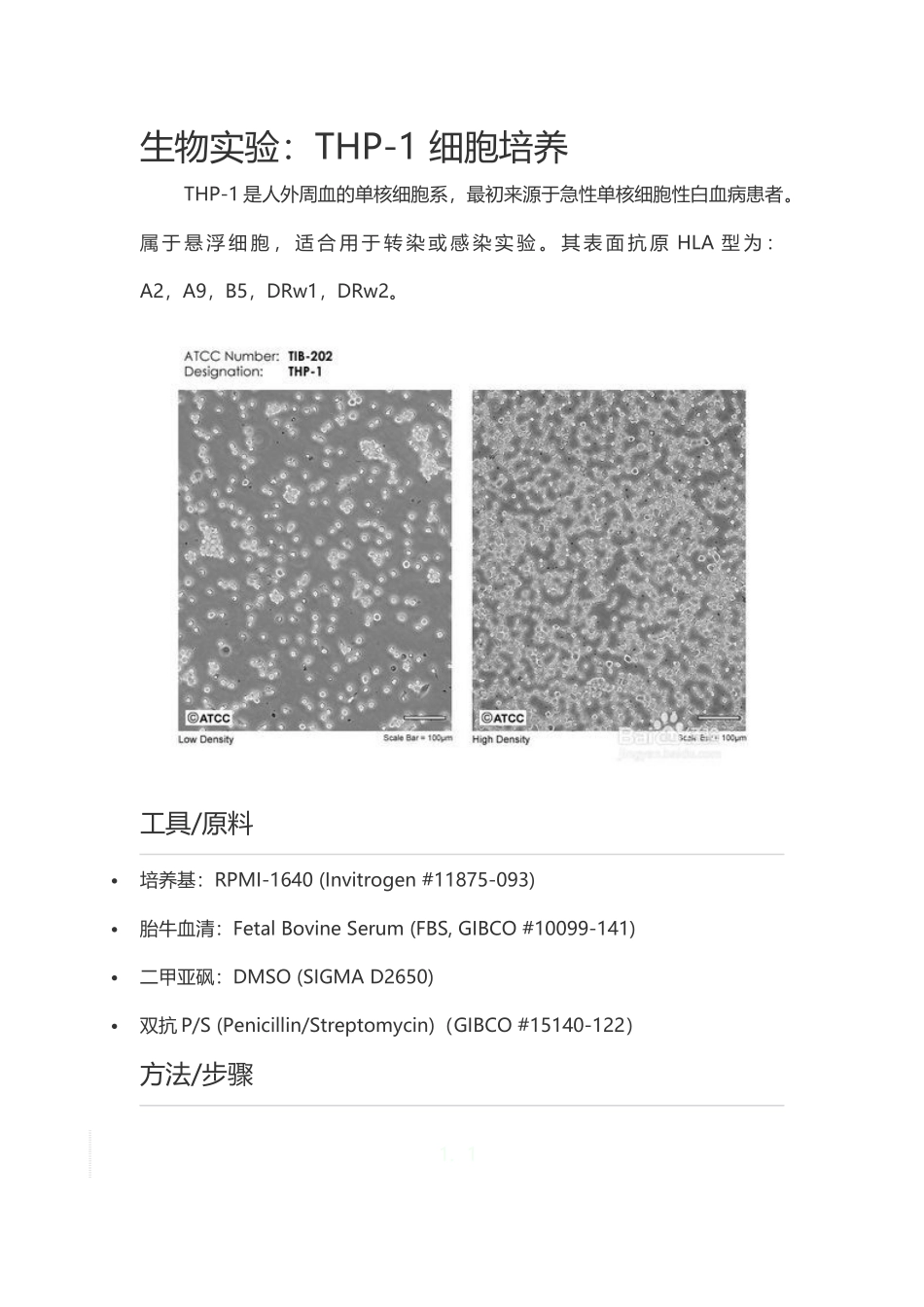 THP-1-细胞培养_第1页