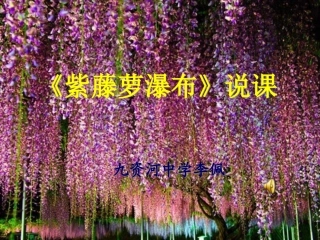 紫藤萝瀑布说课PPT