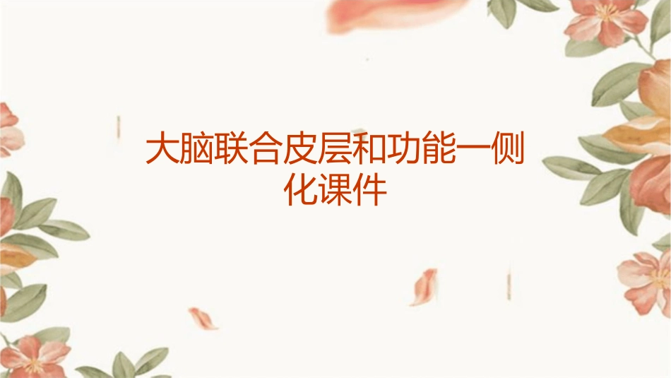 大脑联合皮层和功能一侧化课件_第1页