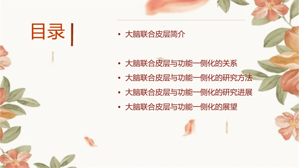 大脑联合皮层和功能一侧化课件_第2页