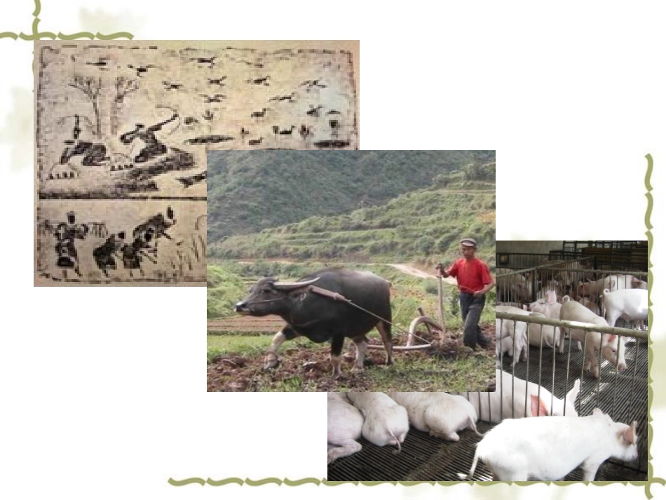 八年级上册动物在生物圈中的作用_第2页