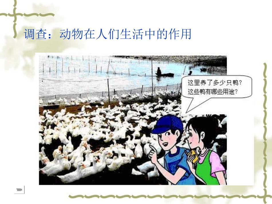 八年级上册动物在生物圈中的作用_第3页