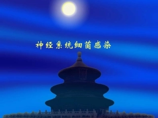 神经系统细菌感染
