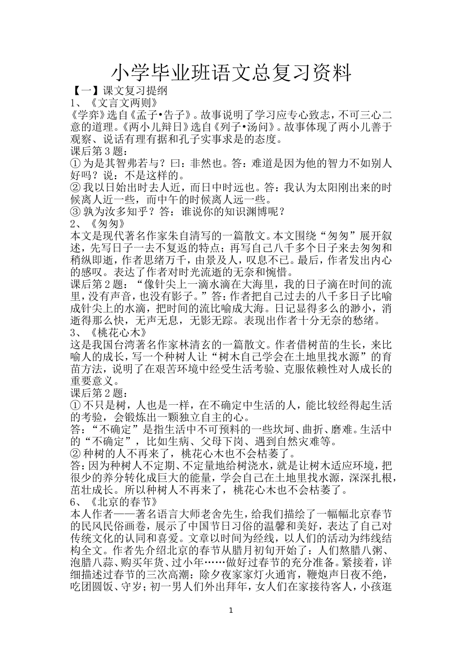 小学毕业班语文总复习资料_第1页