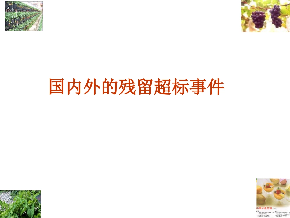 江南大学-第6章农药残留_第2页