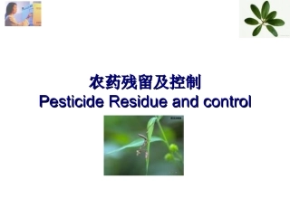 江南大学-第6章农药残留