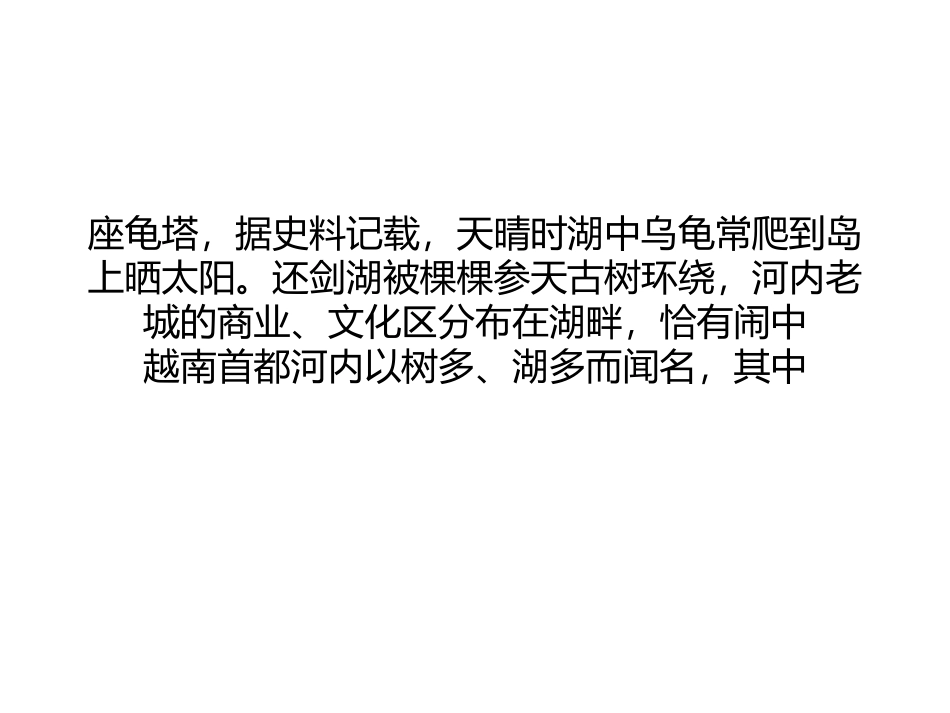 千年巨龟脑袋大如牛头-身长两米惹人喜爱剖析_第2页