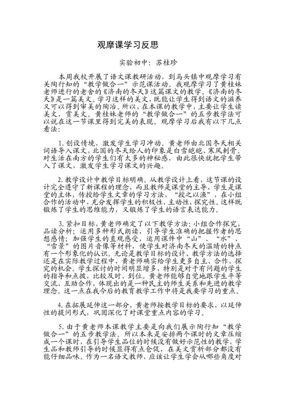 济南的冬天反思_第1页