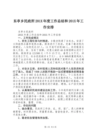 东亭乡民政所201X年度工作总结和201X年工作安排