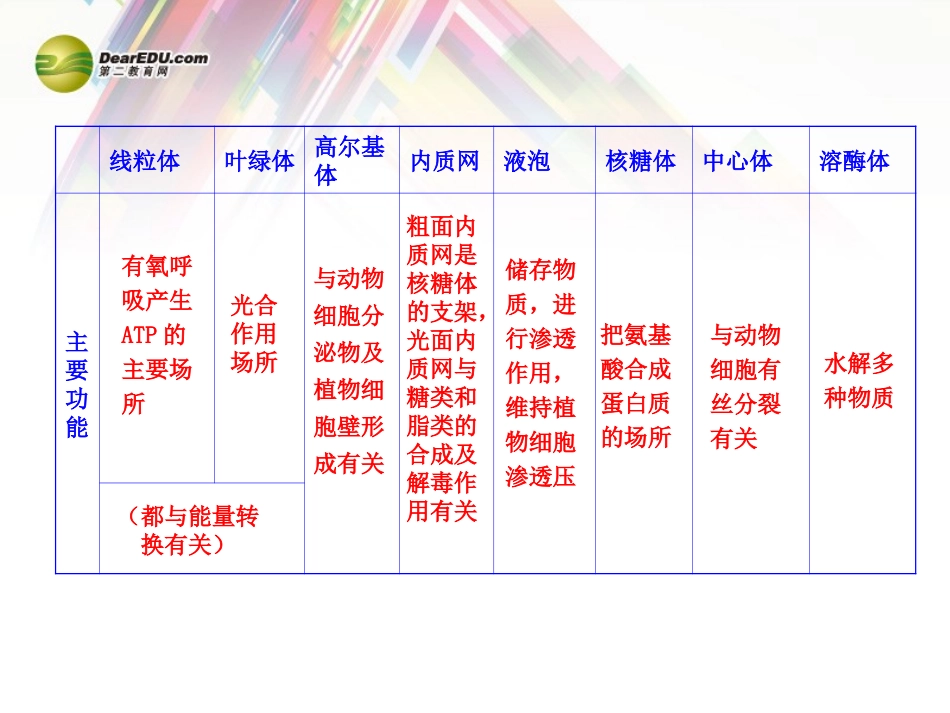 各种细胞器按结构、成分、功能的归纳比较表_第2页
